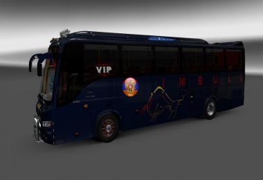 Volvo B9R I Shift Runiran Bizon Skins 1.27.1.2s