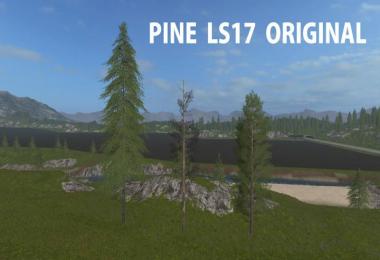 Pine LS17 Original v1