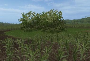 Placeable big Bush v1.0