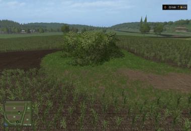 Placeable big Bush v1.0