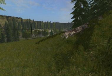 Tannenberg FS2017 V2.0