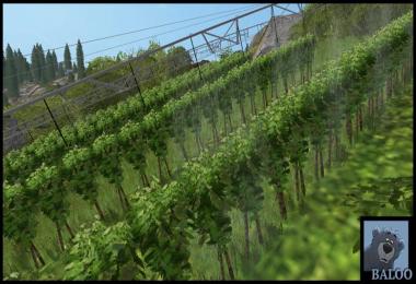 Vineyard FS2017 v3.1