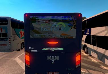 MAN BUS Triton 2016 (17.06.17)