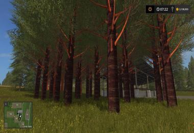 RedWood Trees V1.0