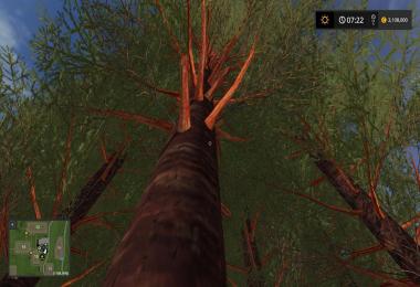 RedWood Trees V1.0