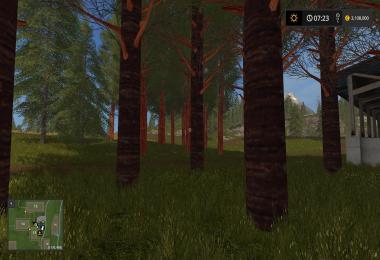 RedWood Trees V1.0