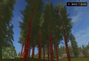 RedWood Trees V1.0