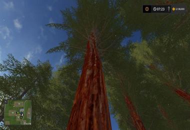 RedWood Trees V1.0