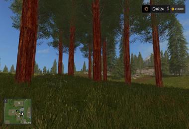 RedWood Trees V1.0