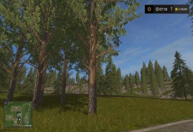 Tall pine trees v1.0