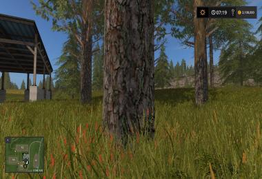 Tall pine trees v1.0