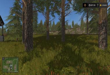 Tall pine trees v1.0