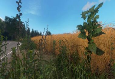 VANILLA VALLEY v3 - A Photorealistic map