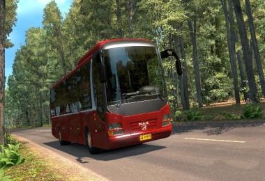 Man lions regio bus 1.27.x