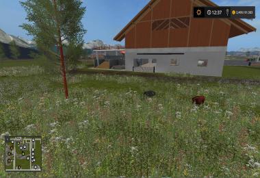 River Po FS17 by Vaszics v1.4