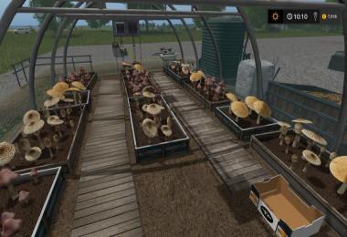 Giants GreenHouses Placeable v1.0
