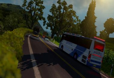 PRTC Skin for Volvo B9R (INDIAN BUS) v1.0