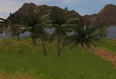 Object - Coconut trees v1.0