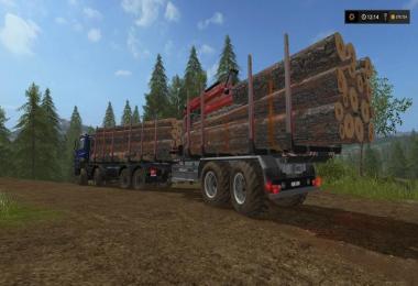 Forest extension for the MAN TGS 6x / 8x / 10x AR-Pack v1.0