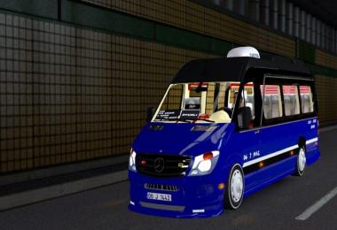 Mercedes Sprinter Ankara Skin