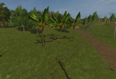 Placeable Banana Tree v1.0