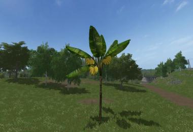 Placeable Banana Tree v1.0