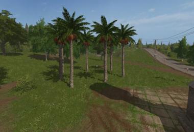 Placeable Coco Tree v1.0