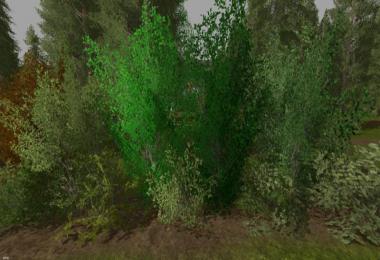 Big bushes and hedges v1.0