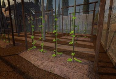 Plasticfoil Greenhouse (Cucumber) v1.0