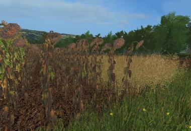 Forgotten Plants - Textureset (Prefab) v1