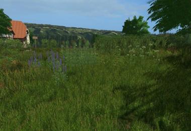 Forgotten Plants - Textureset (Prefab) v1