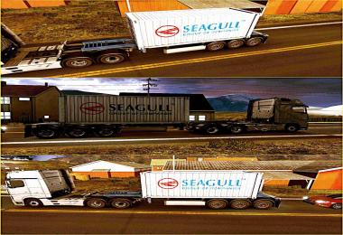 Container Seagull For ETS2  1.30