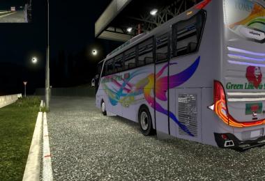 Jet3 Bus greenline Hanif Shyamoly Bd bus skin + bus HD v1.0