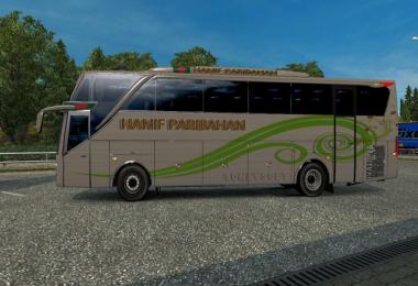 Jet3 Bus greenline Hanif Shyamoly Bd bus skin + bus HD v1.0