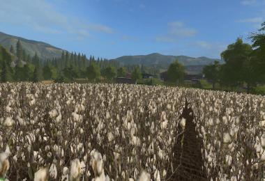 FBM17 Klingenbach with Cotton v1.1.4