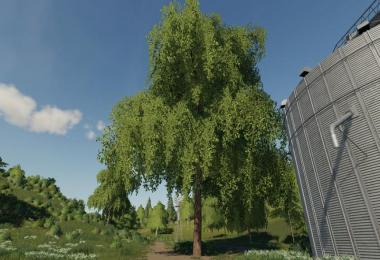 Deciduous tree placeable v1.0