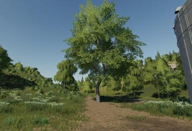 Maple placeable v1.0