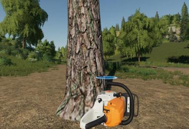 Pine can be placed v1.0