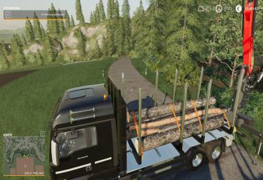 MAN FORST LKW v1.2.4