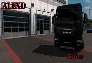 ALEXD 750 HP MAN TGX EURO 6 v1.0