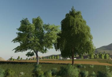 More Tree v1.0.0.0