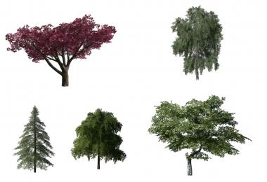 More Trees v1.0.0.0