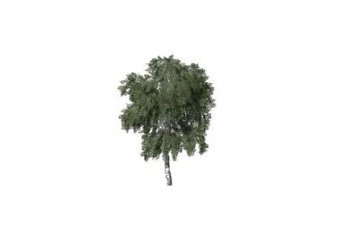 More Trees v1.0.0.0