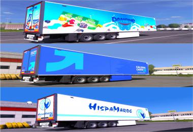 Pack 3 Skins V2 For  Trailer Lamberet SR2 v4.0 - 1.34.x