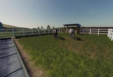 Small horse paddock v1.0.1.0