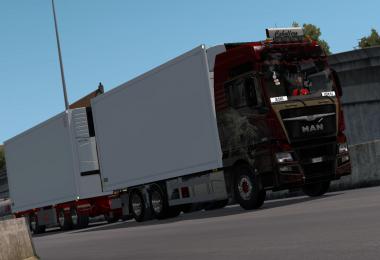 Rigid chassis for all SCS trucks v1.1