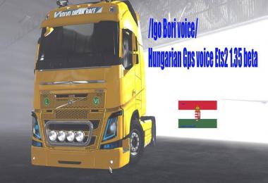 GPS Navigation in Hungarian Language (Igo Bori) 1.35.x