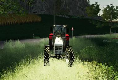 STEYR 8130a Turbo SK2 basic v1.1.0