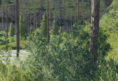 Thuringia forest v3.0.0.0