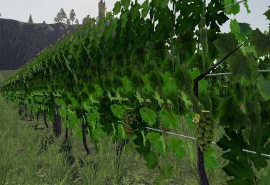 Vineyard v1.0.0.0